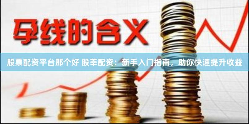 股票配资平台那个好 股莘配资：新手入门指南，助你快速提升收益