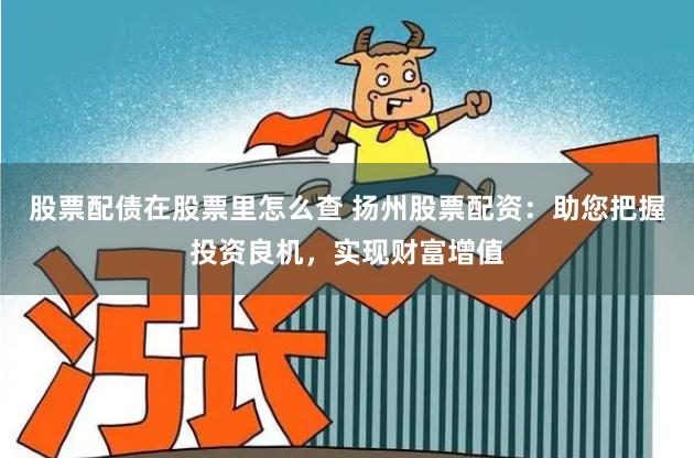 股票配债在股票里怎么查 扬州股票配资：助您把握投资良机，实现财富增值