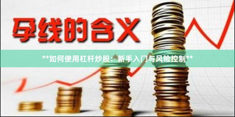 **如何使用杠杆炒股：新手入门与风险控制**